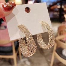 Load image into Gallery viewer, Fashionable Rhinestone Earrings