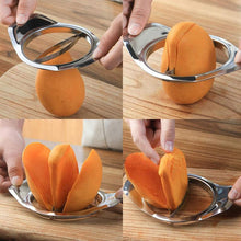 Load image into Gallery viewer, Stainless Steel Mango Peeling Separator