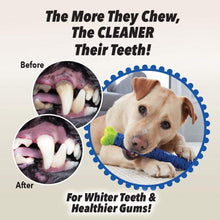 Load image into Gallery viewer, Dog Chewbrush Toothbrush | Teeth Cleaning Toy