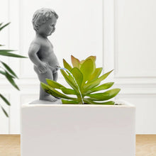 Load image into Gallery viewer, Pee My Plants Garden Sculpture