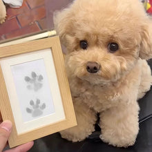 Load image into Gallery viewer, Pet Paw Printing Kit