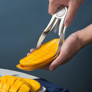 Stainless Steel Mango Peeling Separator