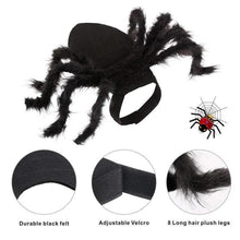 Load image into Gallery viewer, Spider Costume for Pets